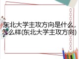 东北大学主攻方向是什么，怎么样(东北大学主攻方向)
