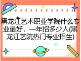 黑龙江艺术职业学院什么专业最好，一年招多少人(黑龙江艺院热门专业招生)