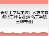 青岛工学院主攻什么方向有哪些王牌专业(青岛工学院王牌专业)