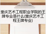 重庆艺术工程职业学院的王牌专业是什么(重庆艺术工程王牌专业)