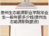 贵州生态能源职业学院毕业生一般年薪多少钱(贵州生态能源职院薪资)