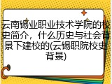 云南锡业职业技术学院的校史简介，什么历史与社会背景下建校的(云锡职院校史背景)