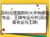 深圳北理莫斯科大学有哪些专业，王牌专业分析(深北莫专业与王牌)