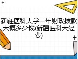 新疆医科大学一年财政拨款大概多少钱(新疆医科大经费)