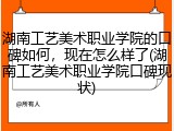 湖南工艺美术职业学院的口碑如何，现在怎么样了(湖南工艺美术职业学院口碑现状)