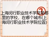 上海闵行职业技术学院是哪里的学校，在哪个城市(上海闵行职业技术学院位置)