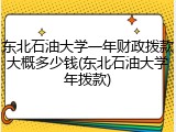 东北石油大学一年财政拨款大概多少钱(东北石油大学年拨款)