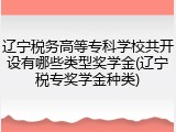 辽宁税务高等专科学校共开设有哪些类型奖学金(辽宁税专奖学金种类)