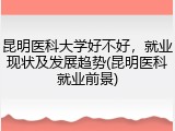 昆明医科大学好不好，就业现状及发展趋势(昆明医科就业前景)