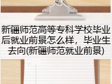 新疆师范高等专科学校毕业后就业前景怎么样，毕业生去向(新疆师范就业前景)
