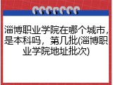 淄博职业学院在哪个城市，是本科吗，第几批(淄博职业学院地址批次)