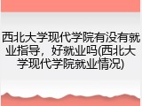 西北大学现代学院有没有就业指导，好就业吗(西北大学现代学院就业情况)