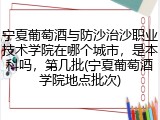 宁夏葡萄酒与防沙治沙职业技术学院在哪个城市，是本科吗，第几批(宁夏葡萄酒学院地点批次)