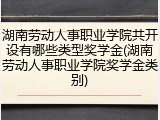 湖南劳动人事职业学院共开设有哪些类型奖学金(湖南劳动人事职业学院奖学金类别)