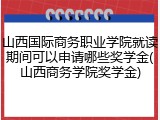 山西国际商务职业学院就读期间可以申请哪些奖学金(山西商务学院奖学金)