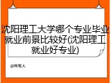 沈阳理工大学哪个专业毕业就业前景比较好(沈阳理工就业好专业)