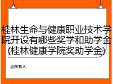 桂林生命与健康职业技术学院开设有哪些奖学和助学金(桂林健康学院奖助学金)