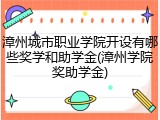 漳州城市职业学院开设有哪些奖学和助学金(漳州学院奖助学金)