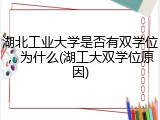 湖北工业大学是否有双学位，为什么(湖工大双学位原因)