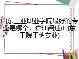 山东工业职业学院最好的专业是哪个，详细阐述(山东工院王牌专业)