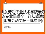 山东劳动职业技术学院最好的专业是哪个，详细阐述(山东劳动学院王牌专业)