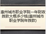 惠州城市职业学院一年财政拨款大概多少钱(惠州城市职业学院年拨款)