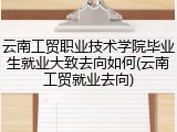 云南工贸职业技术学院毕业生就业大致去向如何(云南工贸就业去向)