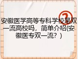 安徽医学高等专科学校是双一流高校吗，简单介绍(安徽医专双一流？)