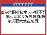 哈尔滨职业技术大学好不好，就业现状及发展趋势(哈尔滨职大就业前景)