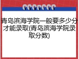 青岛滨海学院一般要多少分才能录取(青岛滨海学院录取分数)