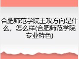 合肥师范学院主攻方向是什么，怎么样(合肥师范学院专业特色)
