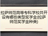 拉萨师范高等专科学校共开设有哪些类型奖学金(拉萨师范奖学金种类)