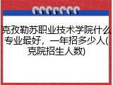 克孜勒苏职业技术学院什么专业最好，一年招多少人(克院招生人数)