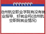 沧州航空职业学院有没有就业指导，好就业吗(沧州航空职院就业情况)