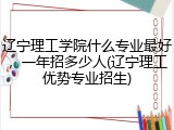 辽宁理工学院什么专业最好，一年招多少人(辽宁理工优势专业招生)
