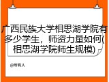广西民族大学相思湖学院有多少学生，师资力量如何(相思湖学院师生规模)