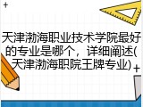 天津渤海职业技术学院最好的专业是哪个，详细阐述(天津渤海职院王牌专业)