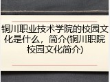 铜川职业技术学院的校园文化是什么，简介(铜川职院校园文化简介)