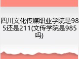 四川文化传媒职业学院是985还是211(文传学院是985吗)