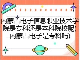 内蒙古电子信息职业技术学院是专科还是本科院校呢(内蒙古电子是专科吗)