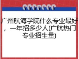 广州航海学院什么专业最好，一年招多少人(广航热门专业招生量)