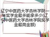 辽宁中医药大学杏林学院一年奖学金最多能拿多少(辽宁中医药大学杏林学院奖学金最高金额)