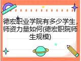 德宏职业学院有多少学生，师资力量如何(德宏职院师生规模)
