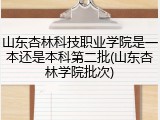 山东杏林科技职业学院是一本还是本科第二批(山东杏林学院批次)