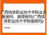 广西信息职业技术学院含金量量吗，值得报吗(广西信息职业技术学院值报吗)