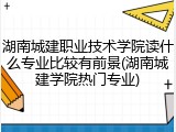 湖南城建职业技术学院读什么专业比较有前景(湖南城建学院热门专业)