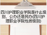 四川护理职业学院是什么级别，公办还是民办(四川护理职业学院性质级别)
