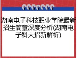 湖南电子科技职业学院最新招生简章深度分析(湖南电子科大招新解析)