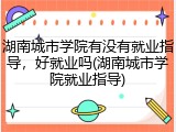 湖南城市学院有没有就业指导，好就业吗(湖南城市学院就业指导)