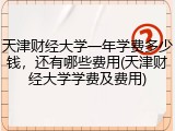 天津财经大学一年学费多少钱，还有哪些费用(天津财经大学学费及费用)